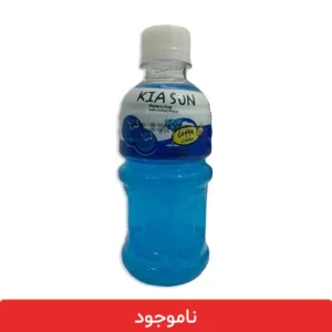 آبمیوه بلوبری کیاسان با تکه های نارگیل - بسته 12 عددی