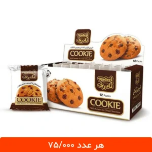 کوکی نادری با کشمش و چیپس شکلات - 12 عددی