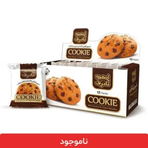 کوکی نادری با کشمش و چیپس شکلات - 12 عددی