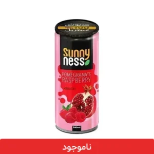 آبمیوه انار تمشک سانی نس قوطی 240 میلی لیتری - 12 عددی