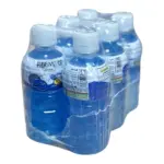 آبمیوه بلوبری با تکه های نارگیل هرمود - 6 عددی